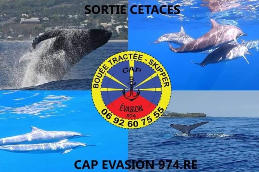 Alquiler de lancha motora por medio día en Saint-Gilles.