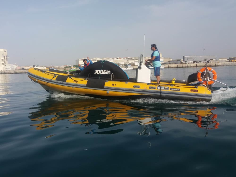 Discover Peniche on a half-day motorboat trip