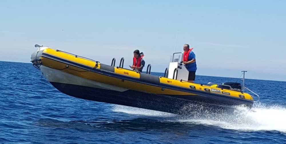 Discover Peniche on a half-day motorboat trip