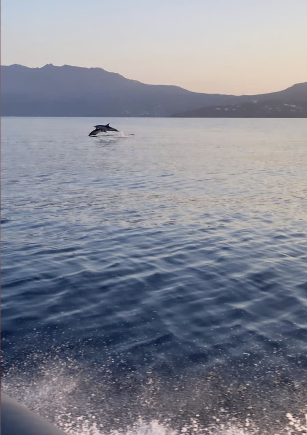 Full Day Escape to Lazareta island – Explore Hidden Bays & Crystal Waters