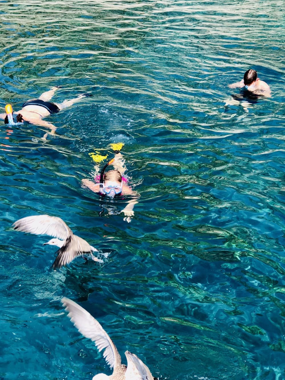 Full Day Escape to Lazareta island – Explore Hidden Bays & Crystal Waters