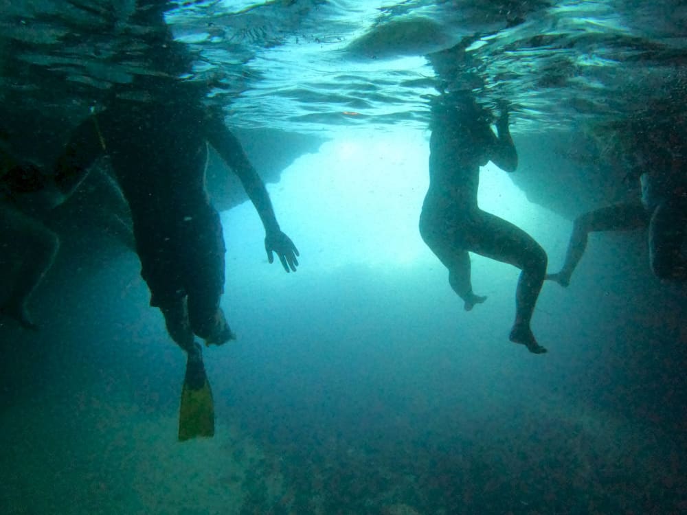 Aventura de meio dia: explore as Ilhas Elafiti em um barco particular!