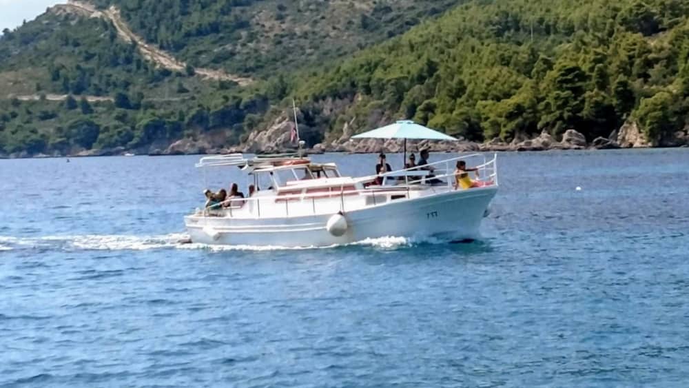 True Adriatic escape: 8h in the pristine beauty of Žuljana