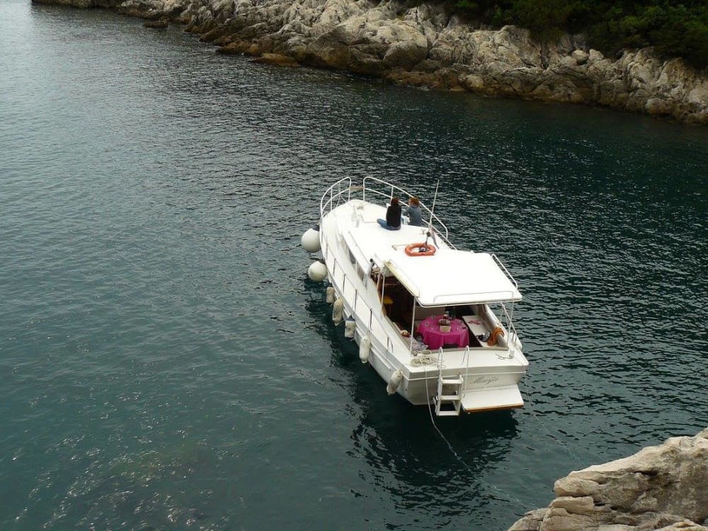 True Adriatic escape: 8h in the pristine beauty of Žuljana