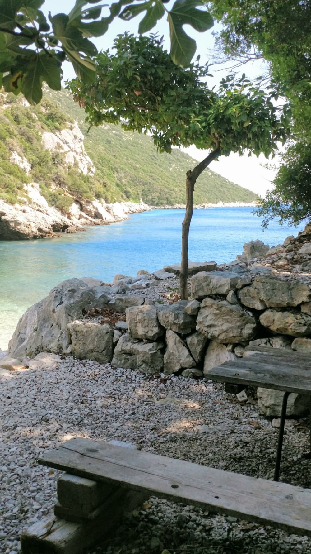 True Adriatic escape: 8h in the pristine beauty of Žuljana