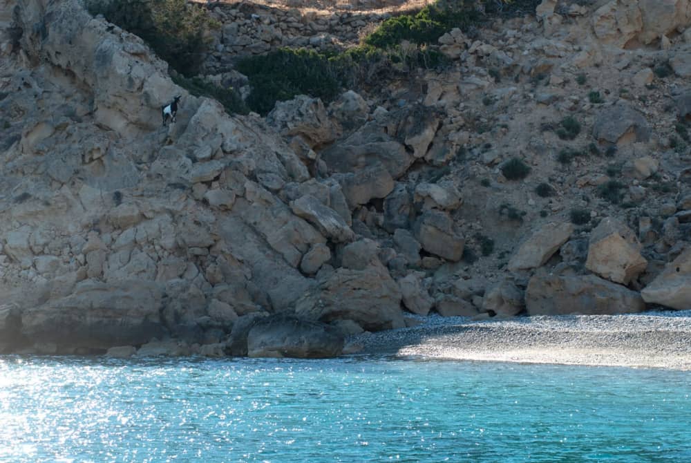 Fuga di mezza giornata in barca a vela: Antiparos, baia di Faneromeni e Laguna Blu