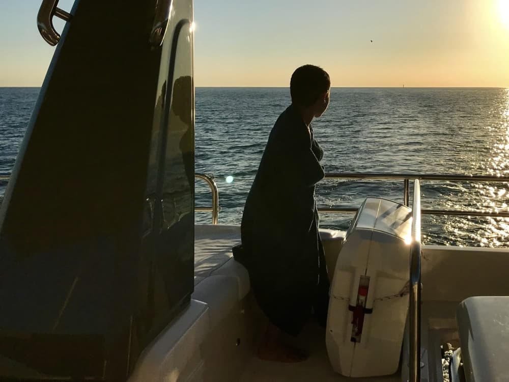 Comporta to Arrábida: Beaches, Dolphins & Coves – 8 Hours