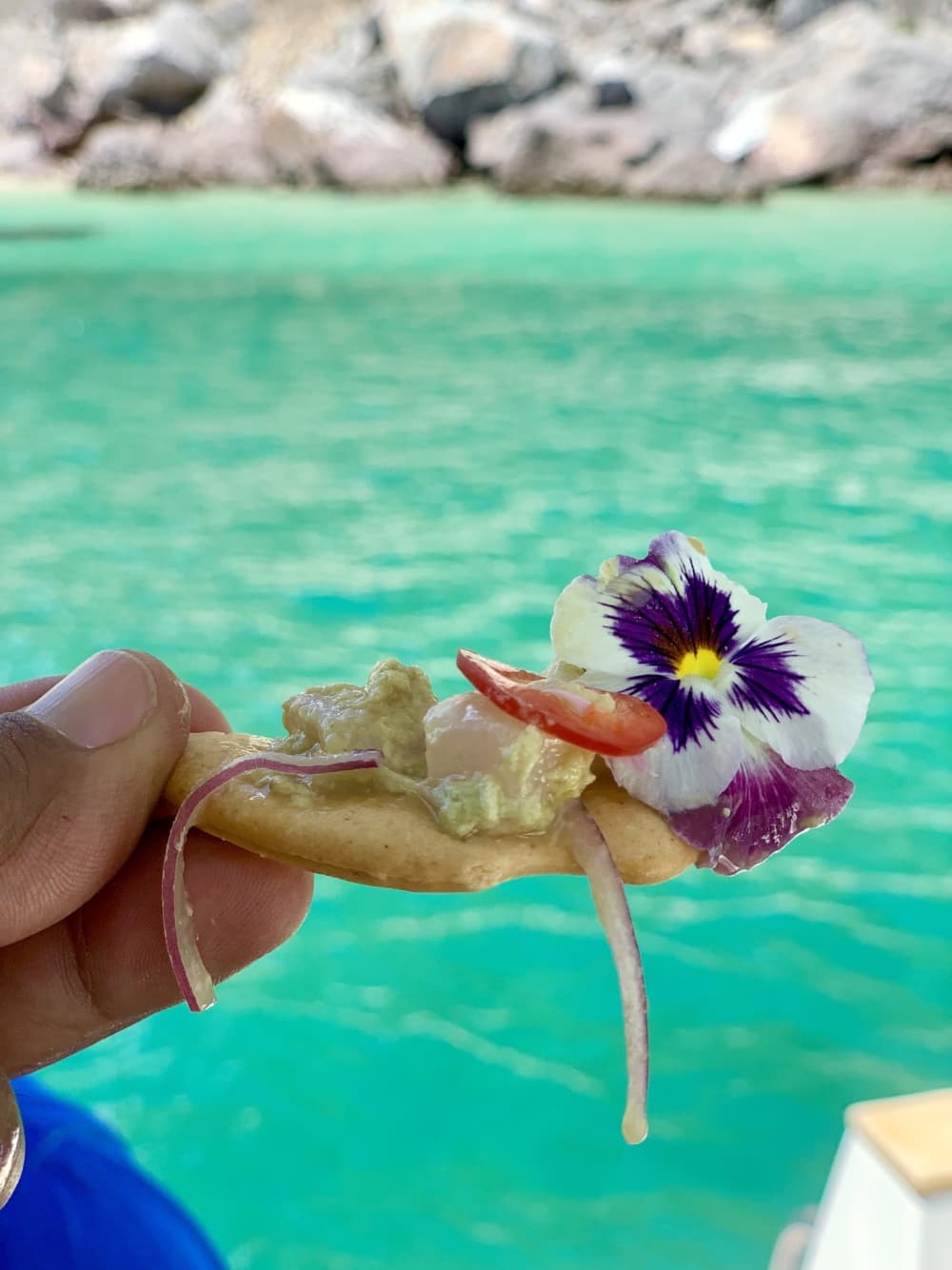 Arrábida & Troia Coastal Escape – 8 Hours