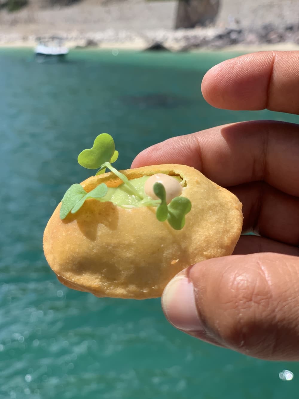 Arrábida & Troia Coastal Escape – 8 Hours