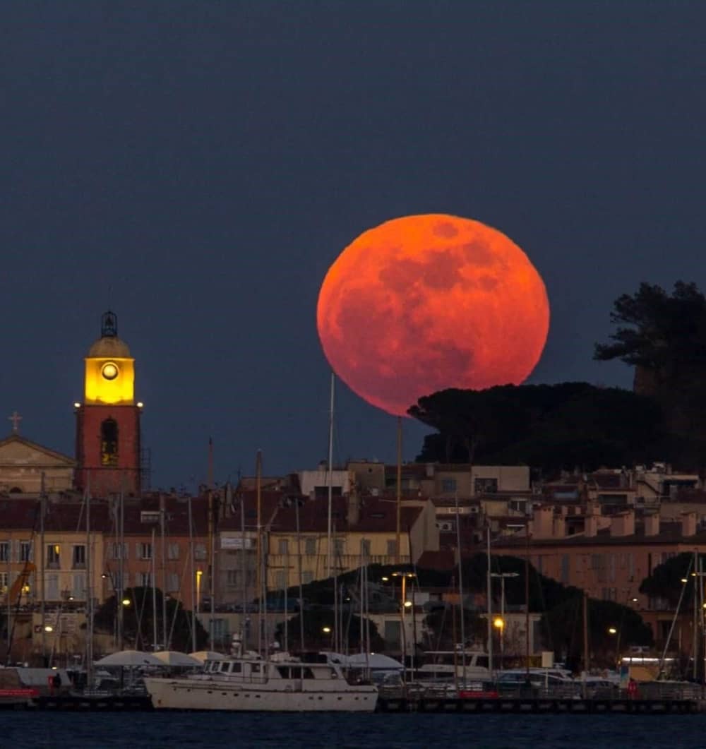 In Cannes, a half-day Mediterranean getaway: Luxury and discoveries in the Lérins Islands and the French Riviera!