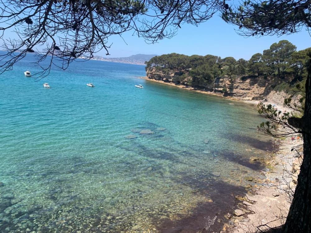 Entdecken Sie La Ciotat auf einem ganztägigen Segeltörn