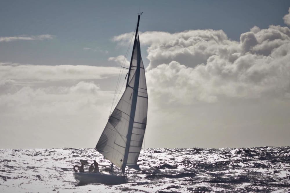 Entdecken Sie La Ciotat auf einem ganztägigen Segeltörn