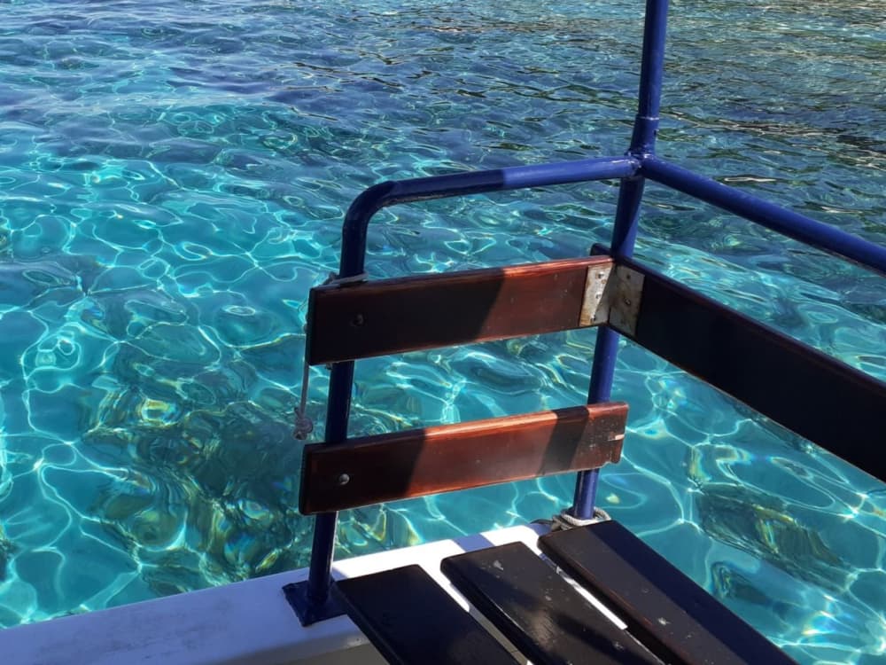 Adria-Auszeit: 6-stündiges Inselabenteuer mit Schwimmen, Schnorcheln und Delfinbeobachtung