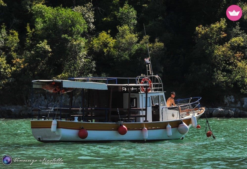 Adria-Auszeit: 6-stündiges Inselabenteuer mit Schwimmen, Schnorcheln und Delfinbeobachtung