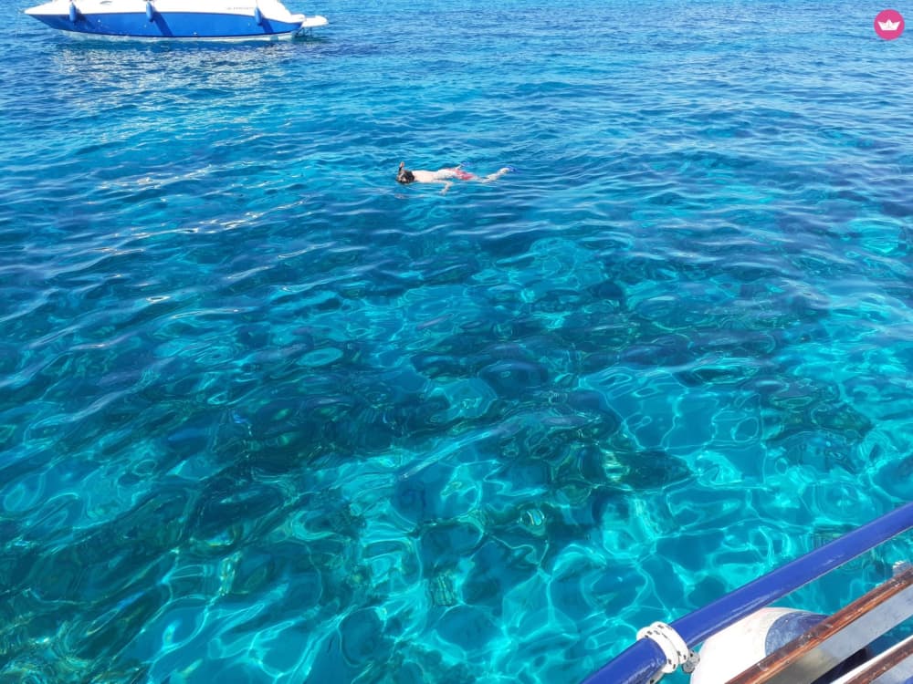 Adria-Auszeit: 6-stündiges Inselabenteuer mit Schwimmen, Schnorcheln und Delfinbeobachtung