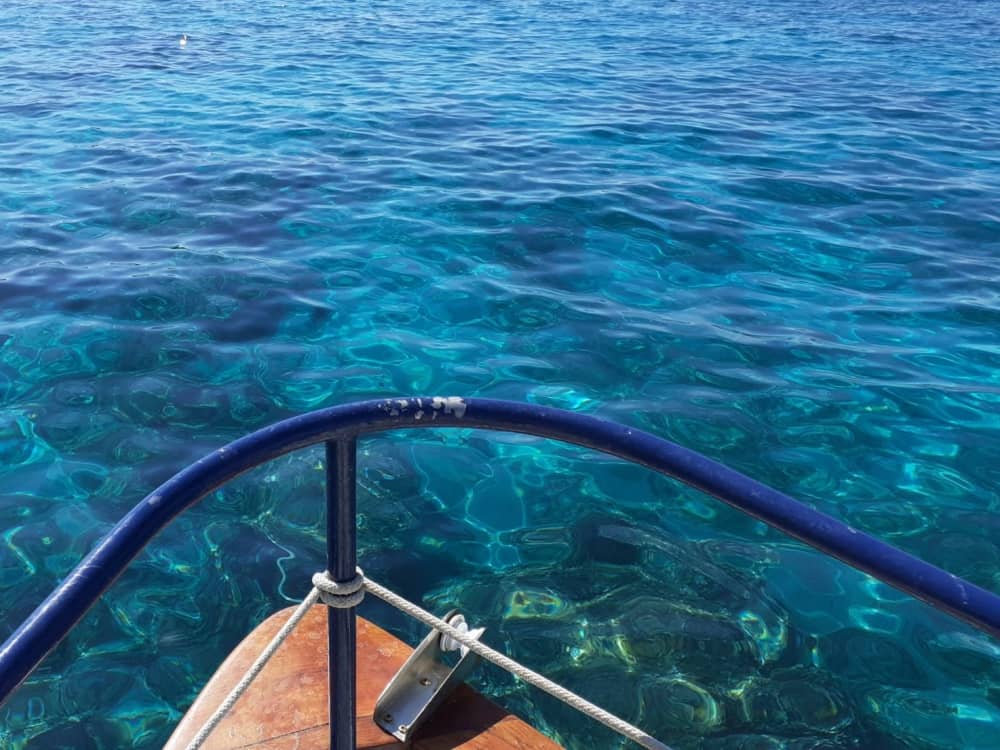 Adria-Auszeit: 6-stündiges Inselabenteuer mit Schwimmen, Schnorcheln und Delfinbeobachtung