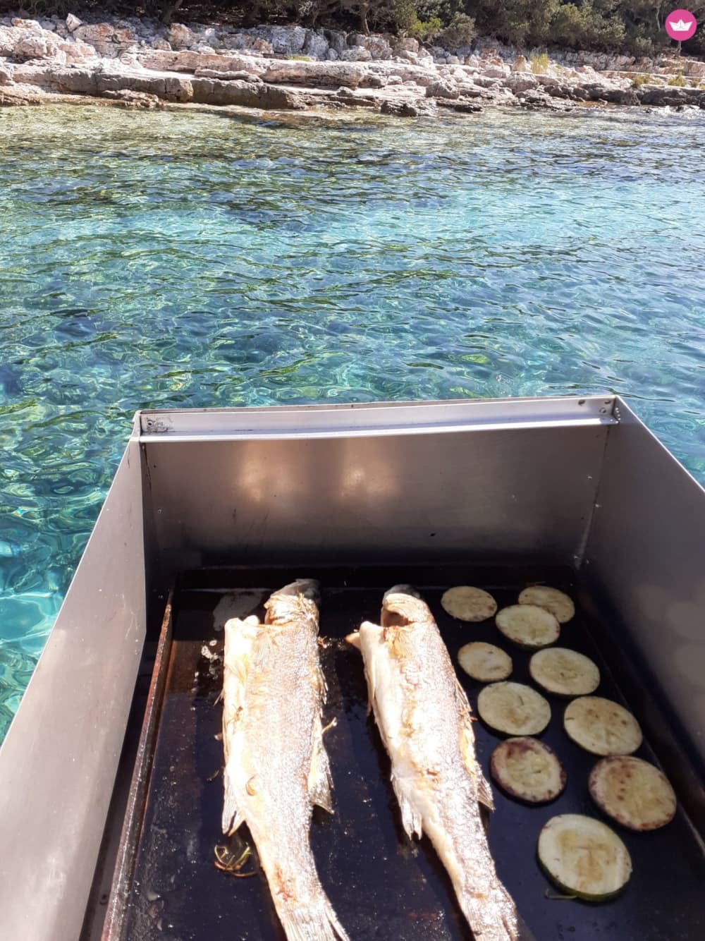 Adria-Auszeit: 6-stündiges Inselabenteuer mit Schwimmen, Schnorcheln und Delfinbeobachtung