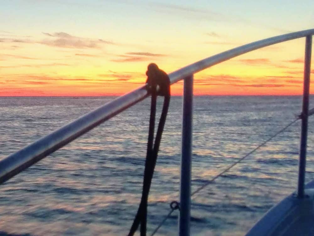 Avventura di 2 ore al tramonto e con i delfini nell'arcipelago di Rovigno