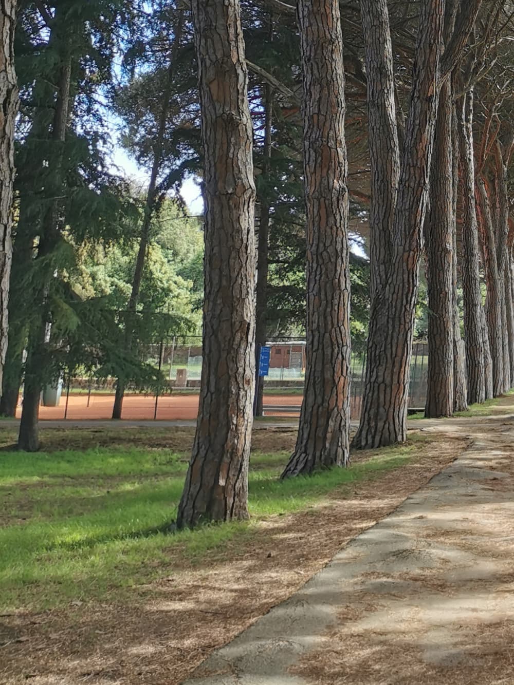 Aventure Brijuni de 8 heures : explorez Veli Brijun, les baies et Rovinj