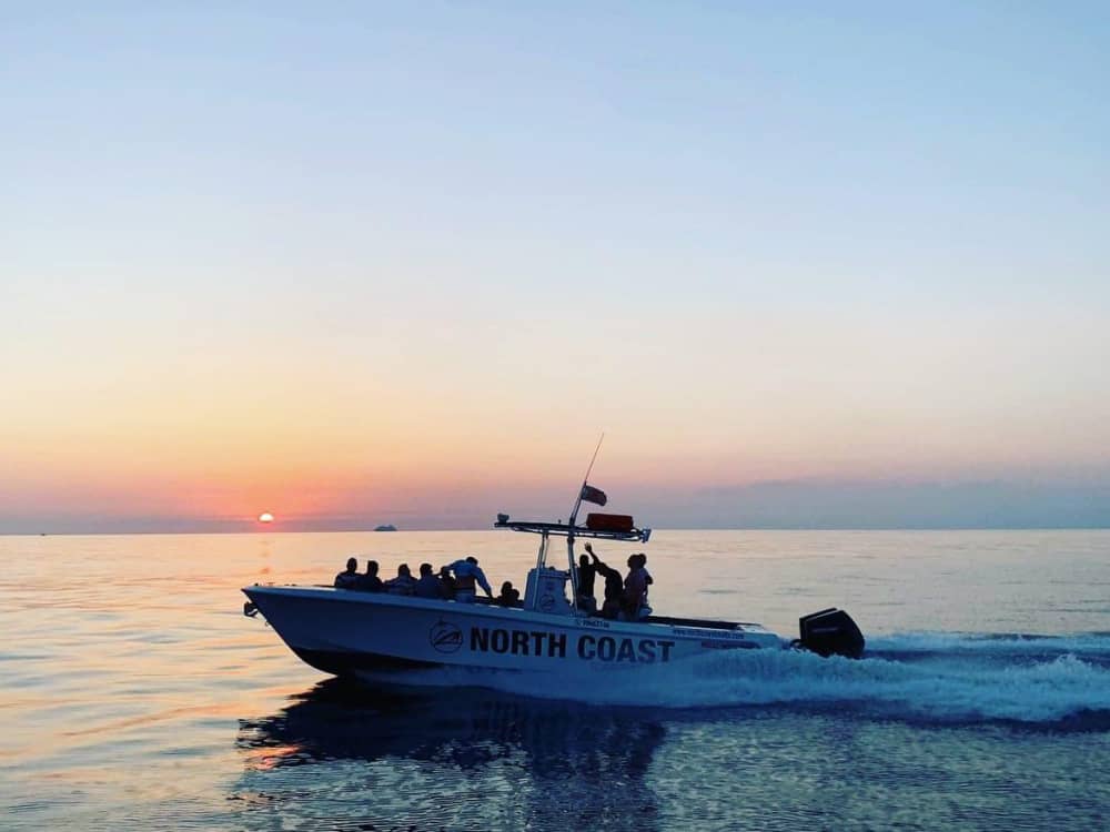 Excursão personalizada de dia inteiro pela ilha – Experiência de barco de 7 horas saindo da Baía de St. Paul
