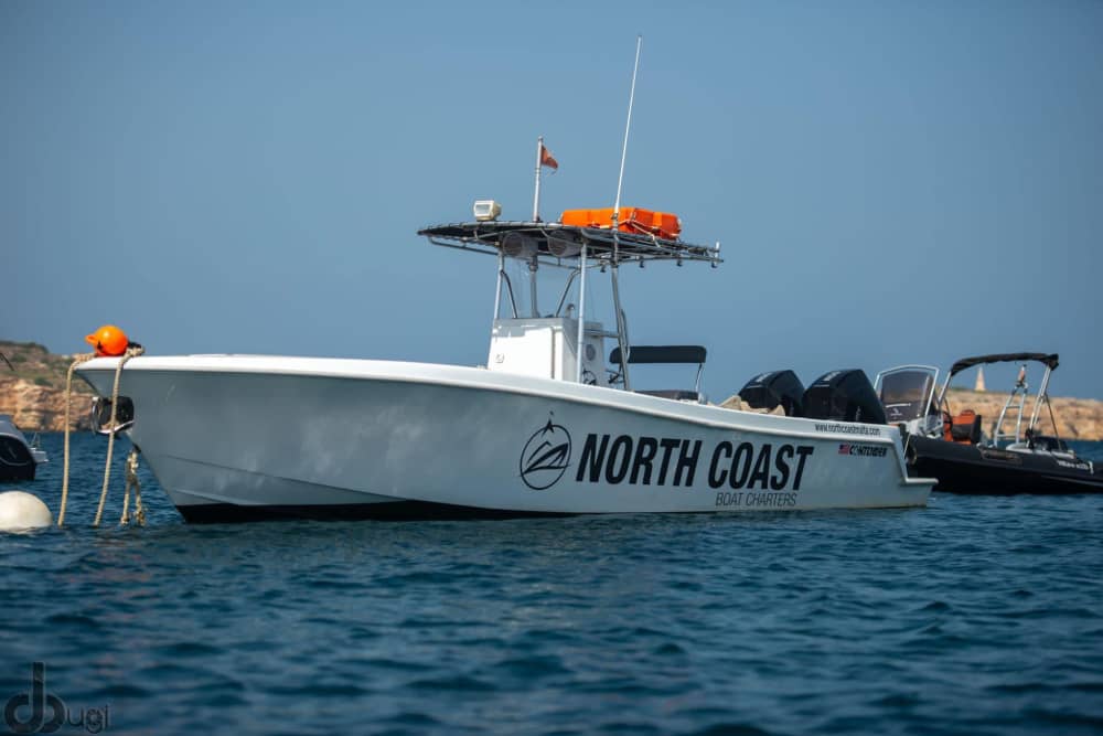 Excursão personalizada de dia inteiro pela ilha – Experiência de barco de 7 horas saindo da Baía de St. Paul