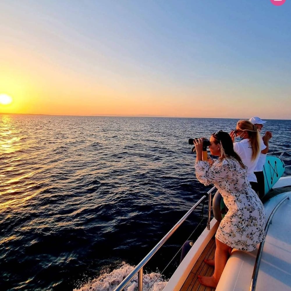 Full Day cruise in Ayia Napa with luxury Princess 61
