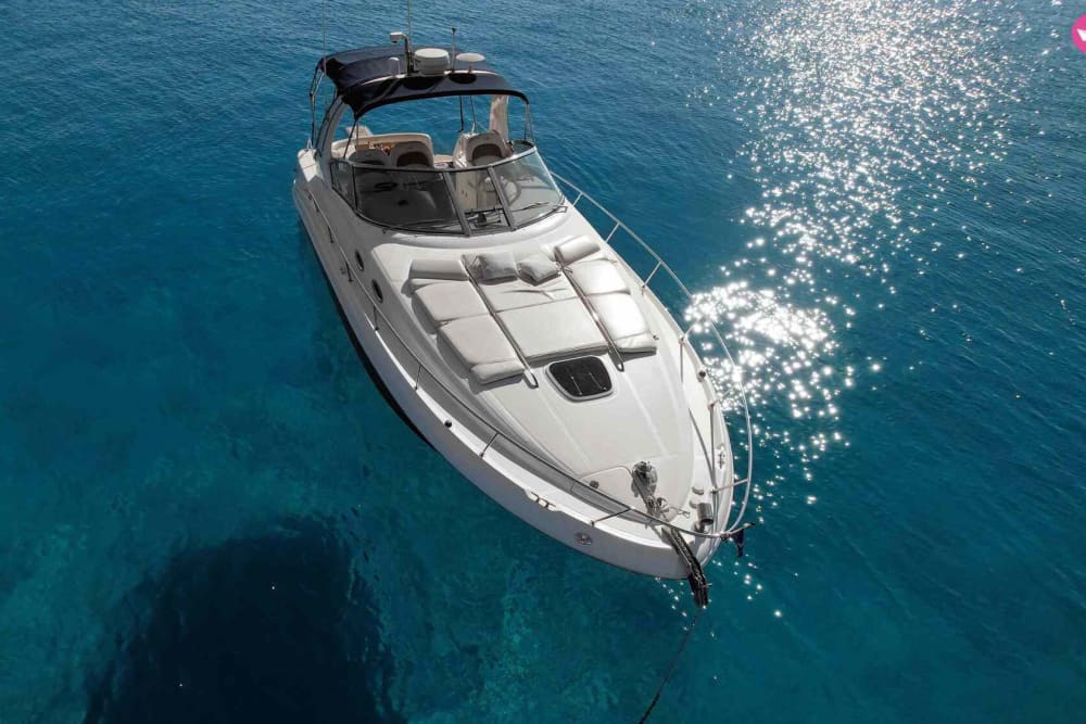 Sunset Cruise with Sea Ray 375