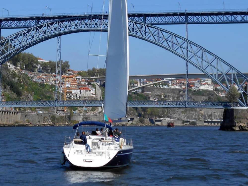 Excursion relaxante sur le fleuve Douro avec vin de Porto et collations