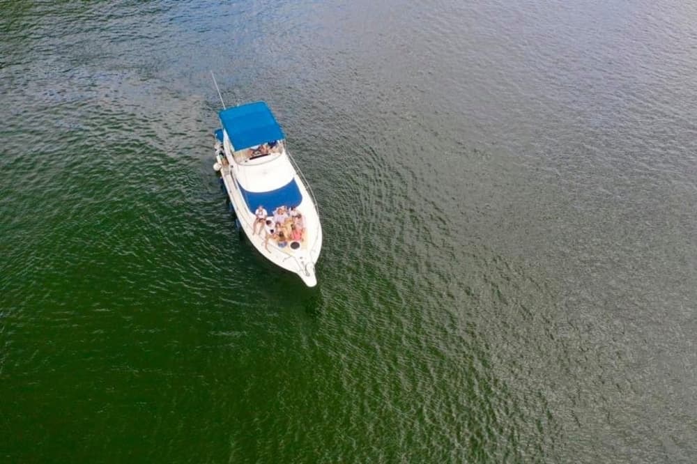 Descubrimiento de Castelo de Paiva en medio día: Una breve escapada en lancha motora.