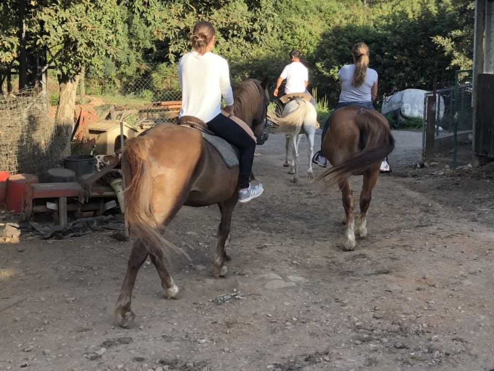 Navegación por el río Paiva con visita a la “Ilha dos Amores” (Isla de los Enamorados).