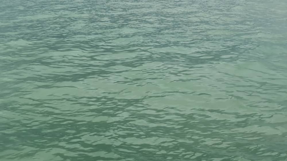 Geniet van een dag op zee in Blankenberge aan boord van een zeilboot.