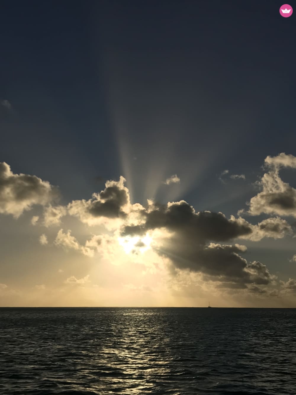 Catamaran Excursion in Bora Bora
