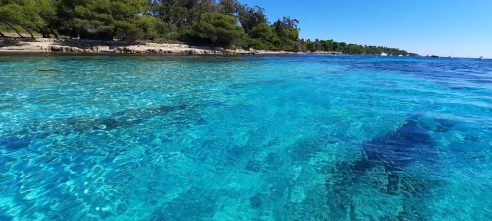 Private experience Esterel, Cannes | Lérins Islands & Cap d’Antibes