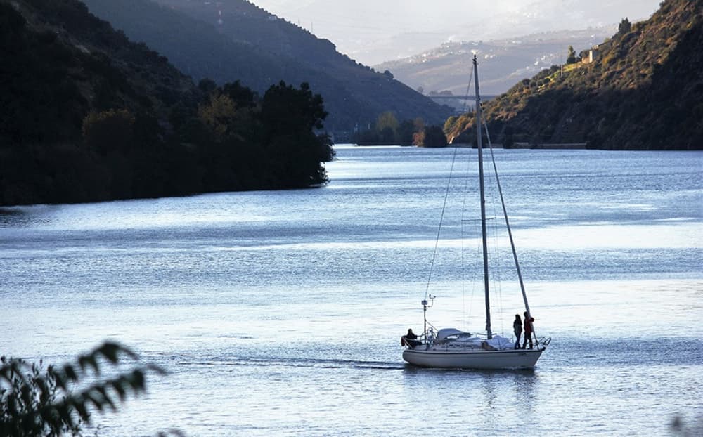 Enjoy 2h of sun on a sailboat in Folgosa