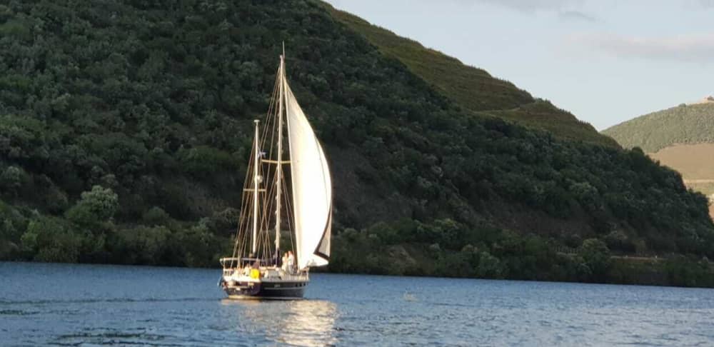 Goditi 2 ore di sole su una barca a vela a Folgosa