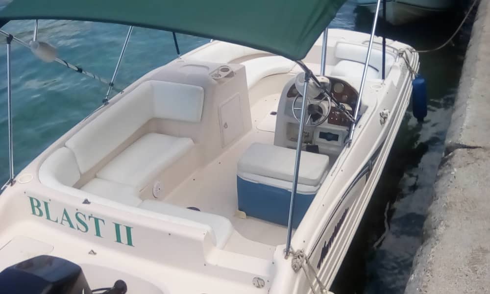 Bahamas Full-Day Escape: Turtles, Snorkeling & Islands