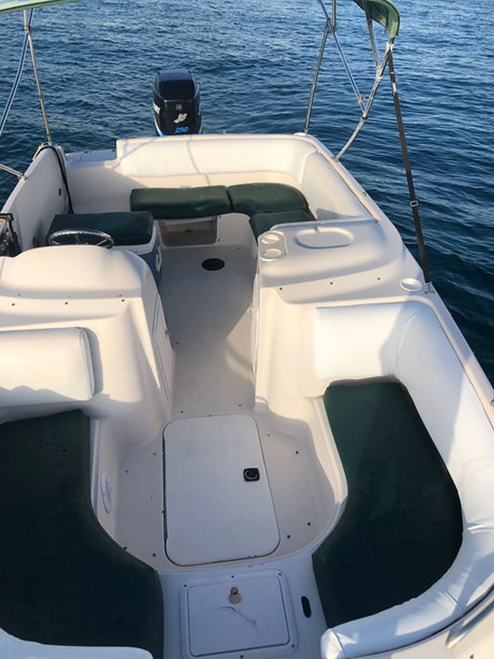 Bahamas Full-Day Escape: Turtles, Snorkeling & Islands