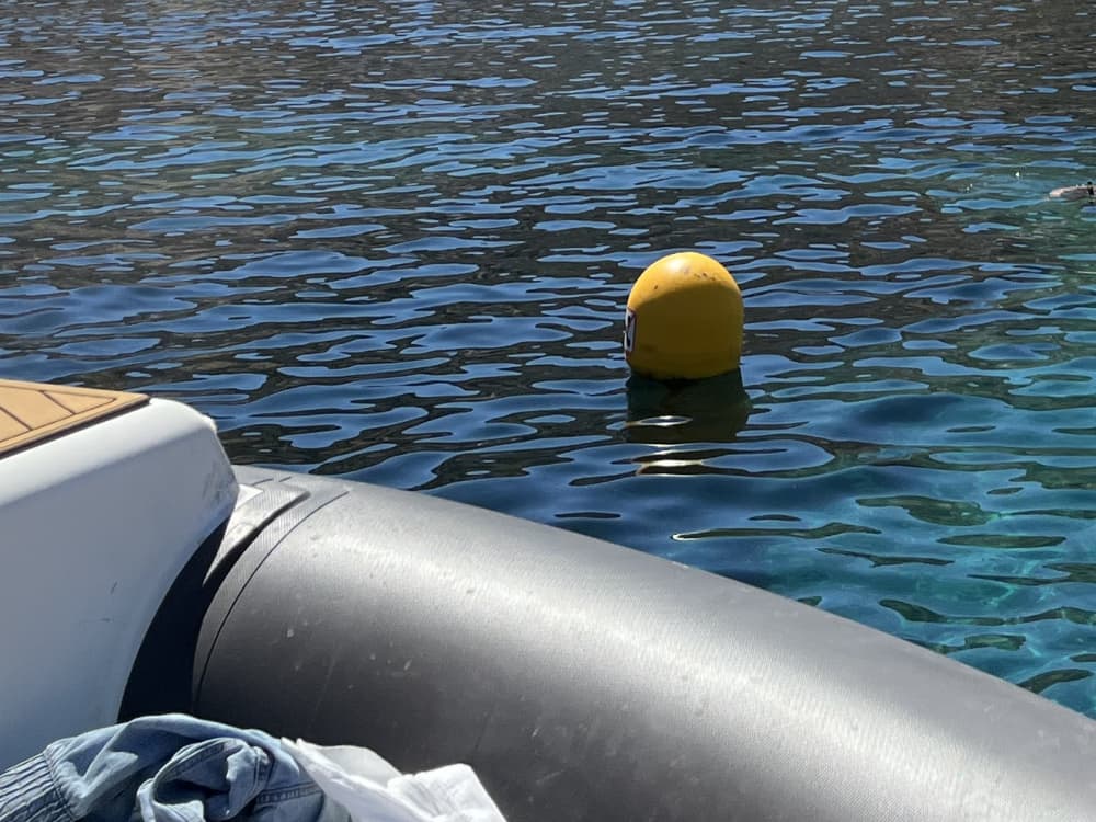 Heading for the Frioul Calanques: an exceptional day out from Marseille