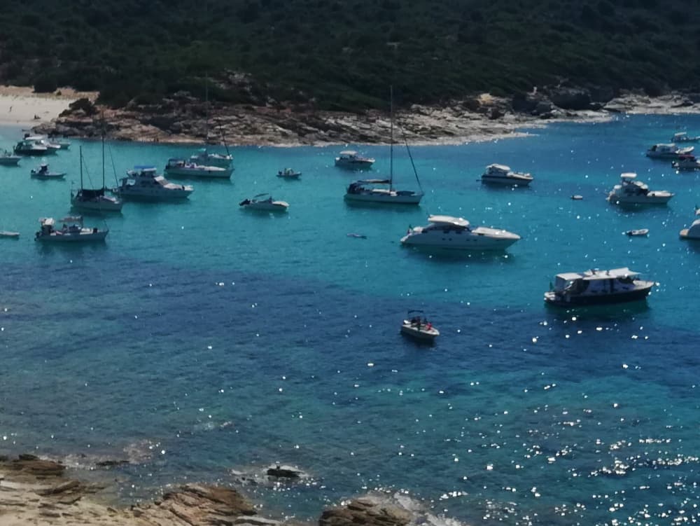 Escursione in barca a vela di un'intera giornata a Marina di Pisa.