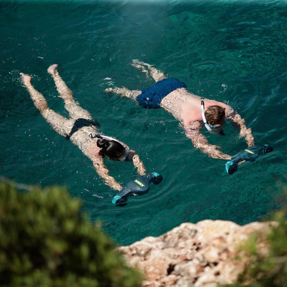 1/2 day: The most beautiful of the French Riviera from Nice!