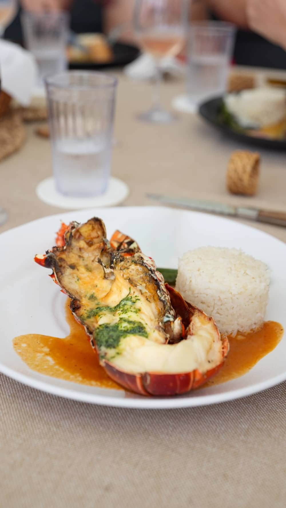 Aseta kurssisi iloon: Koko päivä aitoa purjehdusta Simpson Bayssä katamaraanilla