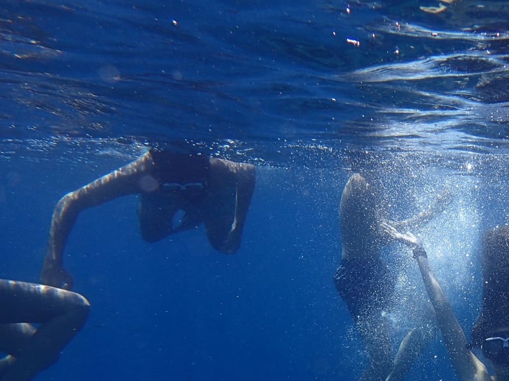 Pasa 10 horas en las cálidas aguas de Castellón de la Plana.