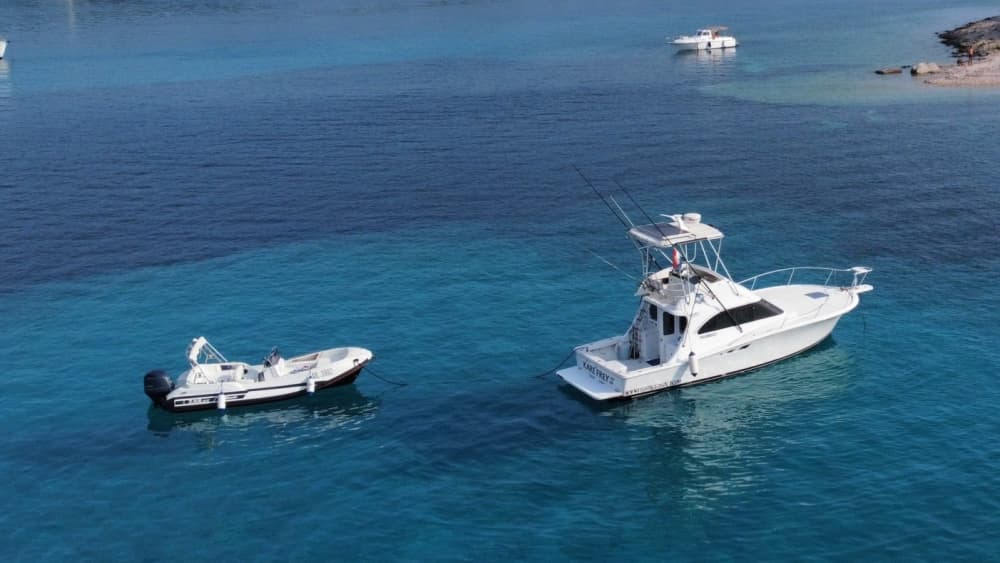 Entdecken Sie Mali Lošinj auf einem Ganztagesausflug mit dem Motorboot