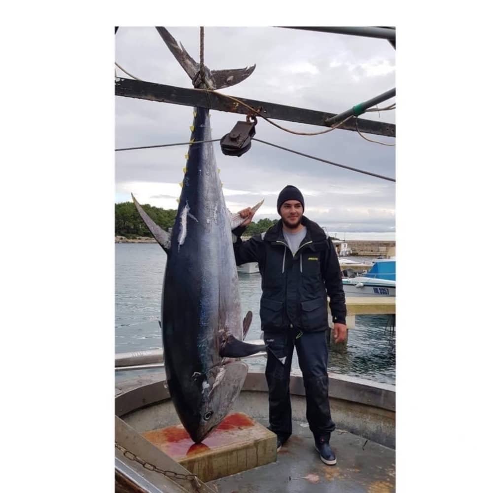 Scoprite Mali Lošinj con un'escursione di un'intera giornata in motoscafo.