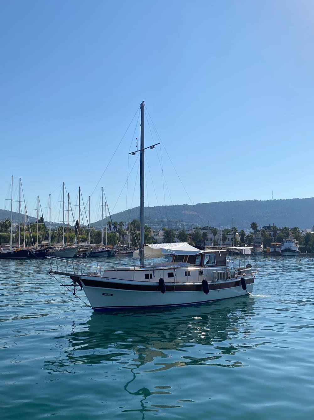 Crucero privado de día completo por Bodrum