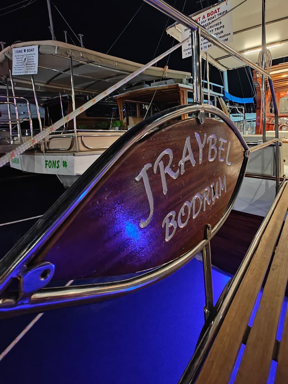 Crucero privado de día completo por Bodrum