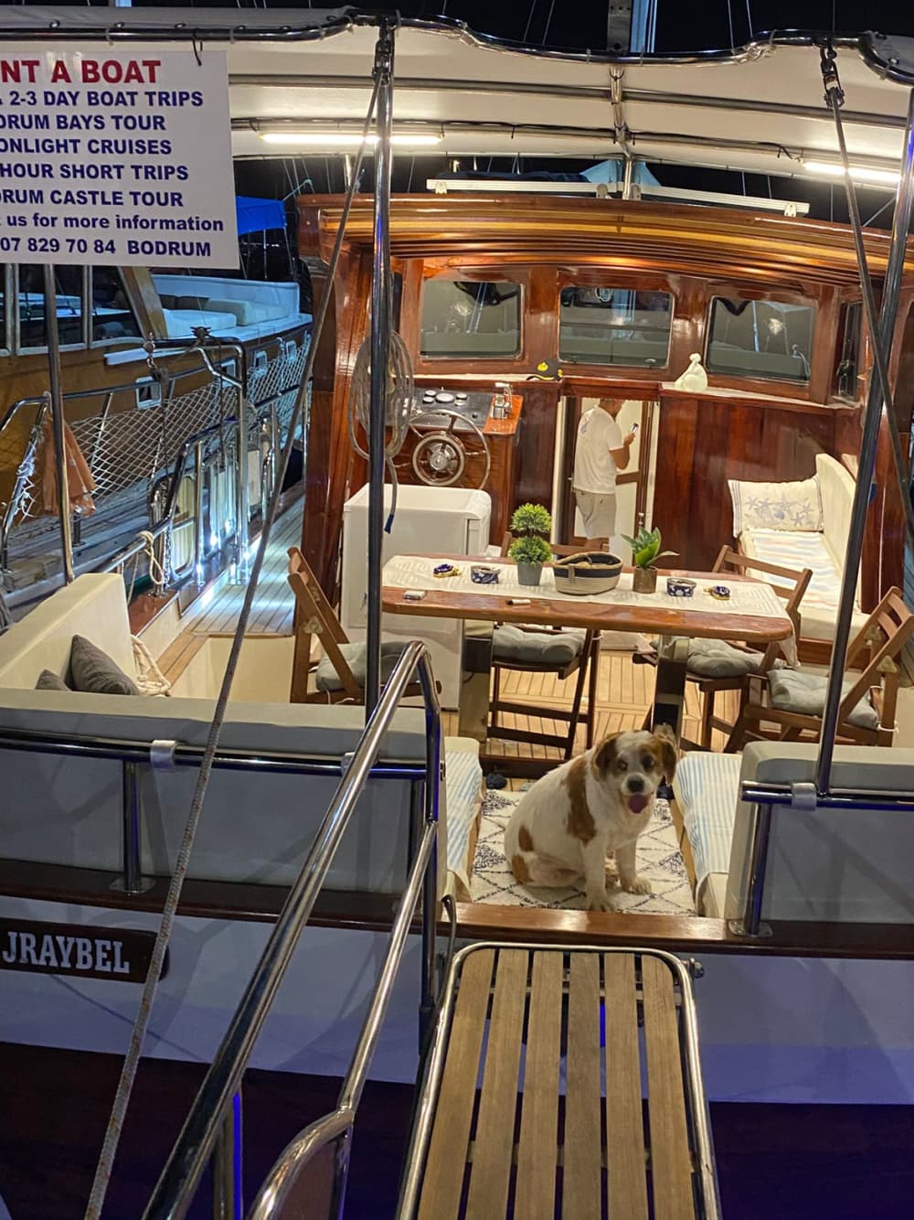 Crucero privado de día completo por Bodrum