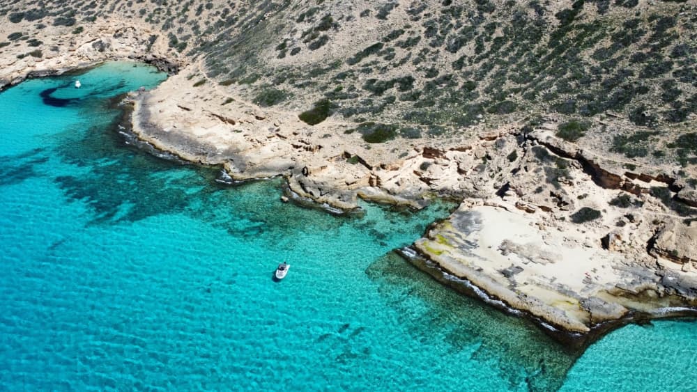 Découvrez les rivages de Palma de Majorque : une excursion d'une journée complète à bord d'un bateau à moteur
