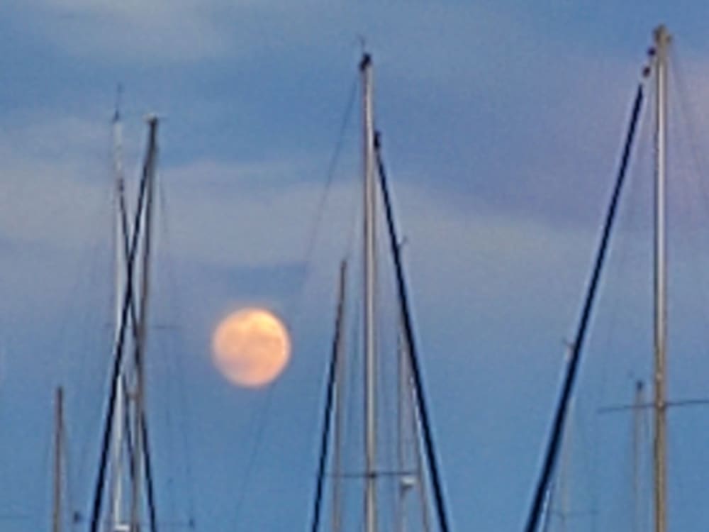 Découvrez Le Lavandou lors d'une excursion en voilier d'une journée.