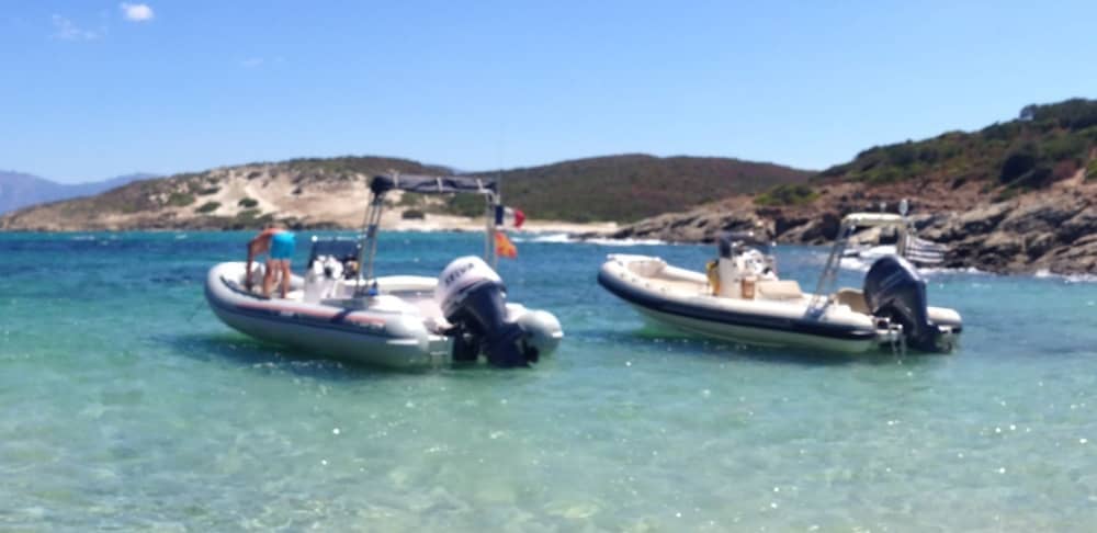 Découvrez les rivages de Brest : une excursion d'une journée complète à bord d'un bateau à moteur